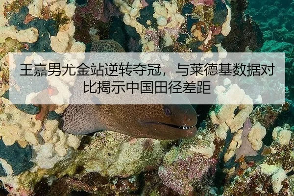 王嘉男尤金站逆转夺冠，与莱德基数据对比揭示中国田径差距