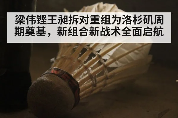 梁伟铿王昶拆对重组为洛杉矶周期奠基，新组合新战术全面启航