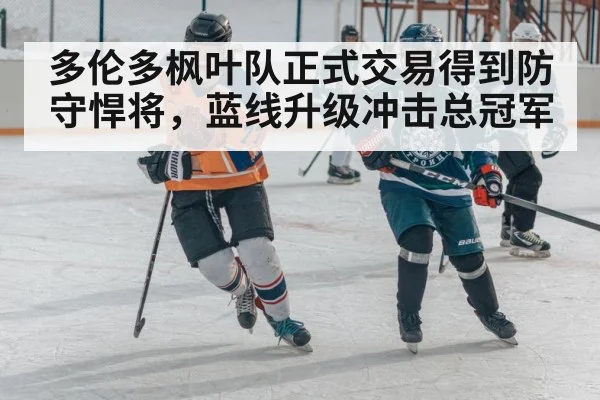 多伦多枫叶队正式交易得到防守悍将，蓝线升级冲击总冠军