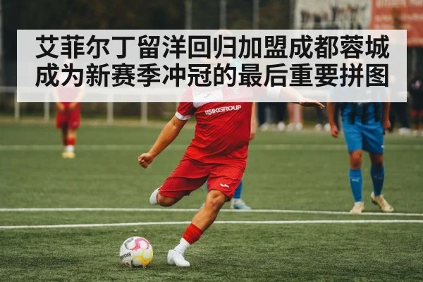 艾菲尔丁留洋回归加盟成都蓉城成为新赛季冲冠的最后重要拼图