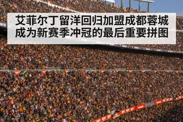 football stadium crowd