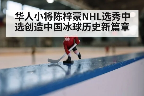华人小将陈梓蒙NHL选秀中选创造中国冰球历史新篇章