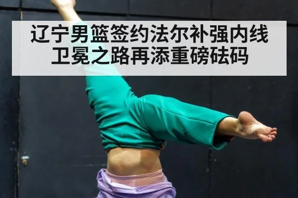 辽宁男篮签约法尔补强内线卫冕之路再添重磅砝码
